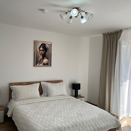 Casa Bocan Geoagiu Băi 외부 사진
