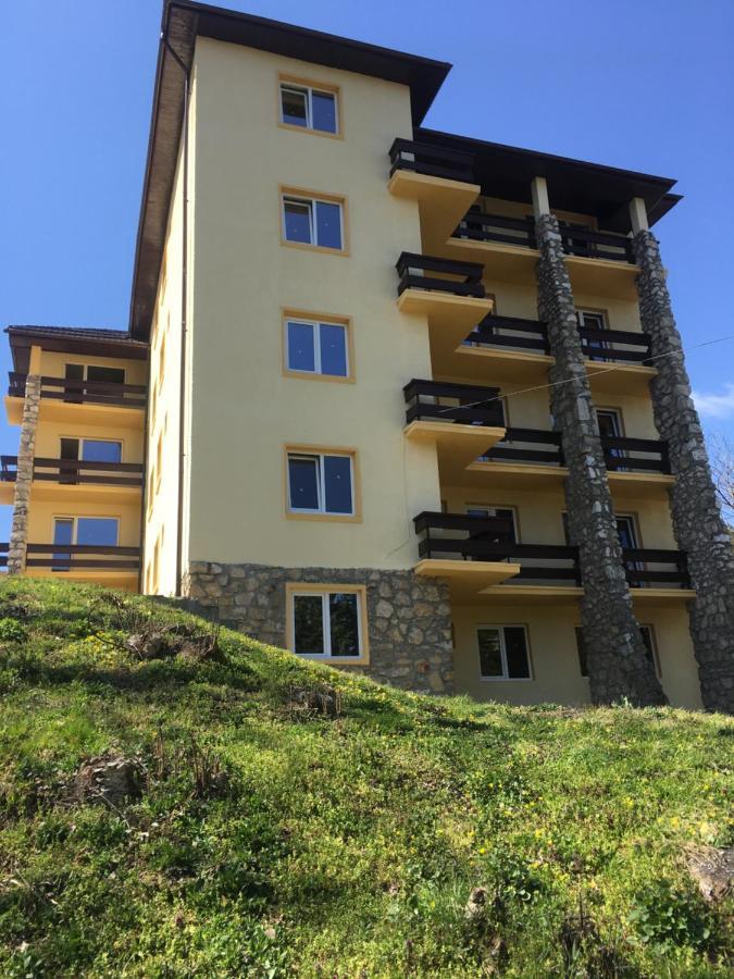 Casa Bocan Geoagiu Băi 외부 사진