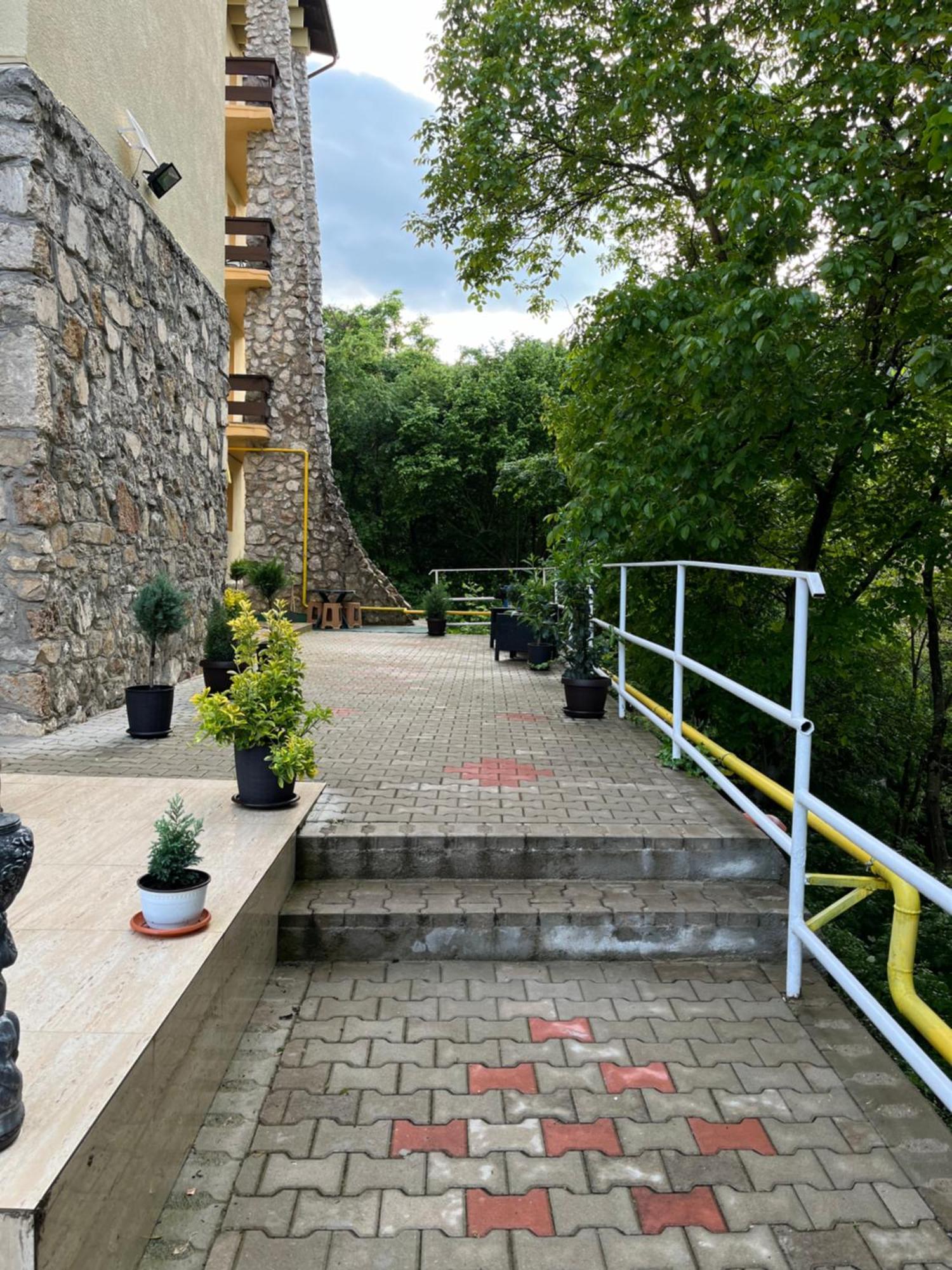 Casa Bocan Geoagiu Băi 외부 사진